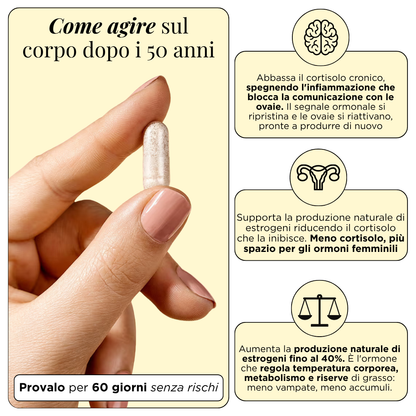 Igea Balance™ - Presale Page pp1